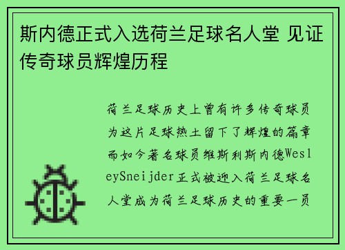 斯内德正式入选荷兰足球名人堂 见证传奇球员辉煌历程